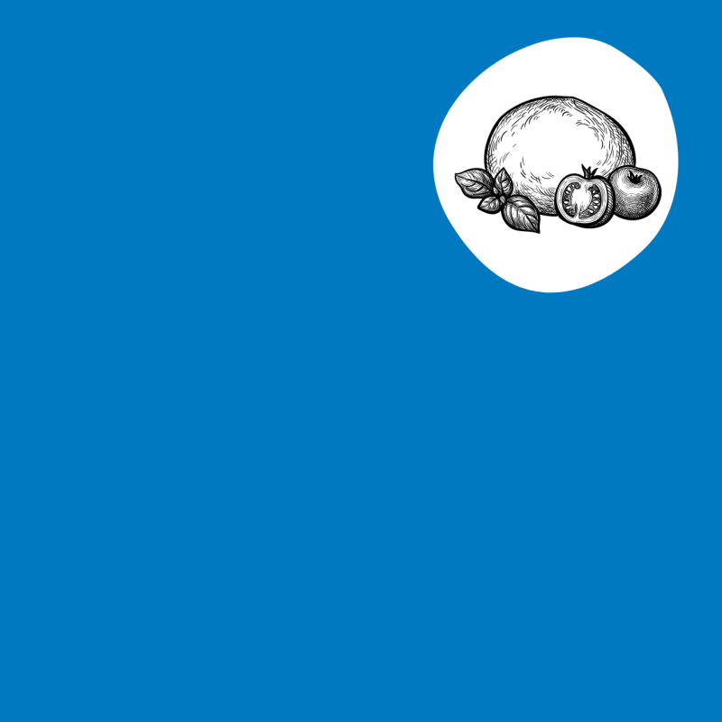 Carte Printemps / Eté