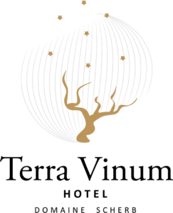 logoterra-243x300.png