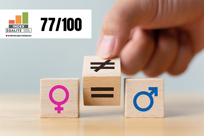 Index Parité France Frais Rhône-Alpes