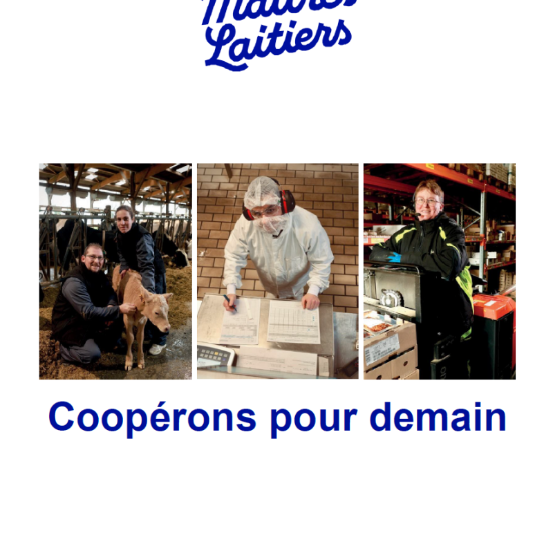 Rapport RSE MLC 2025-2026