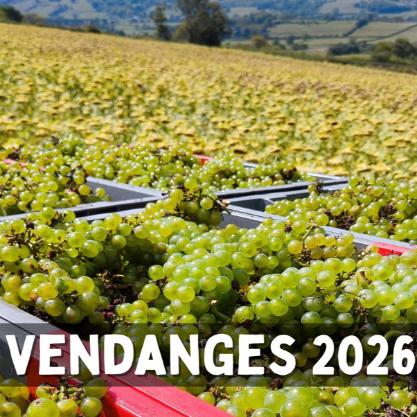 Catalogue vendanges - Eté 2026